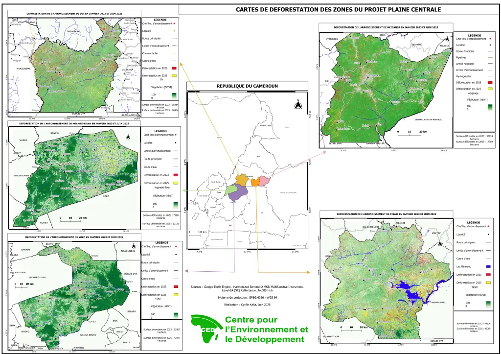 Cartes de déforestation des zones du projet Plaine Centrale (2023-2025)