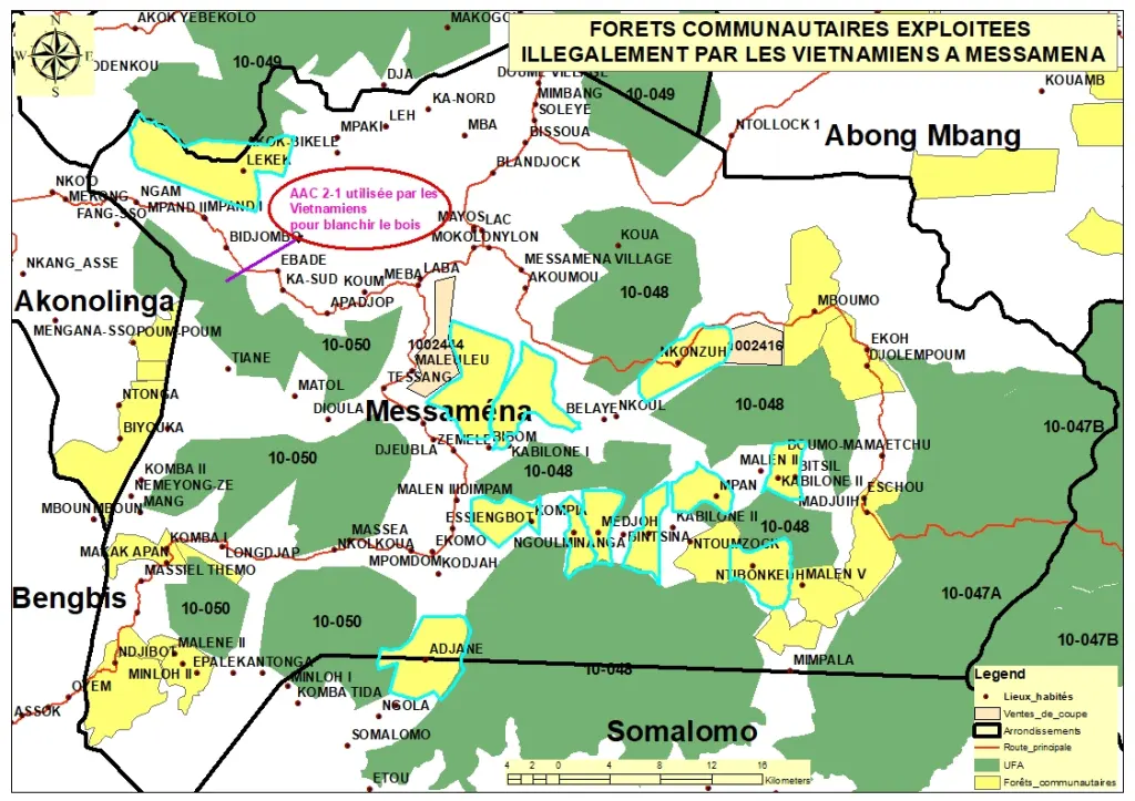 Forêts communautaires exploitées illégalement par les Vietnamiens à Messamena