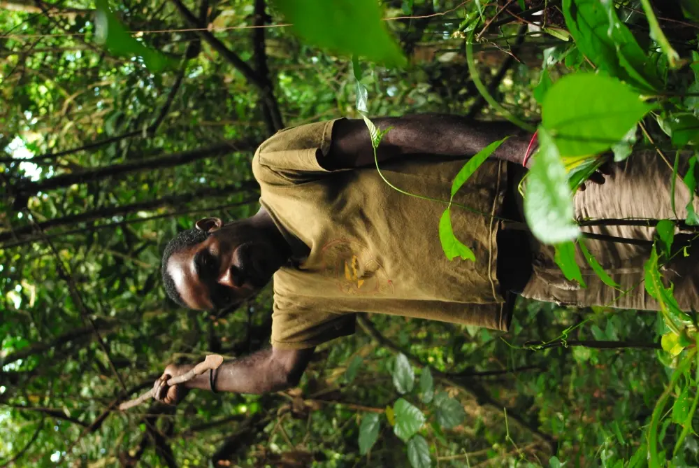 Chasseur en forêt