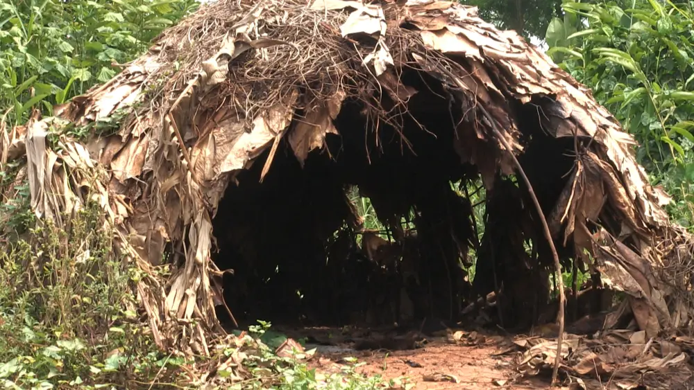 Mongulu, habitat traditionnel