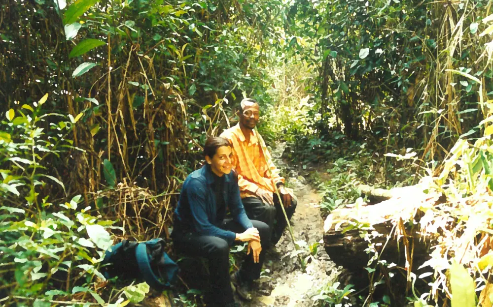Halte en forêt