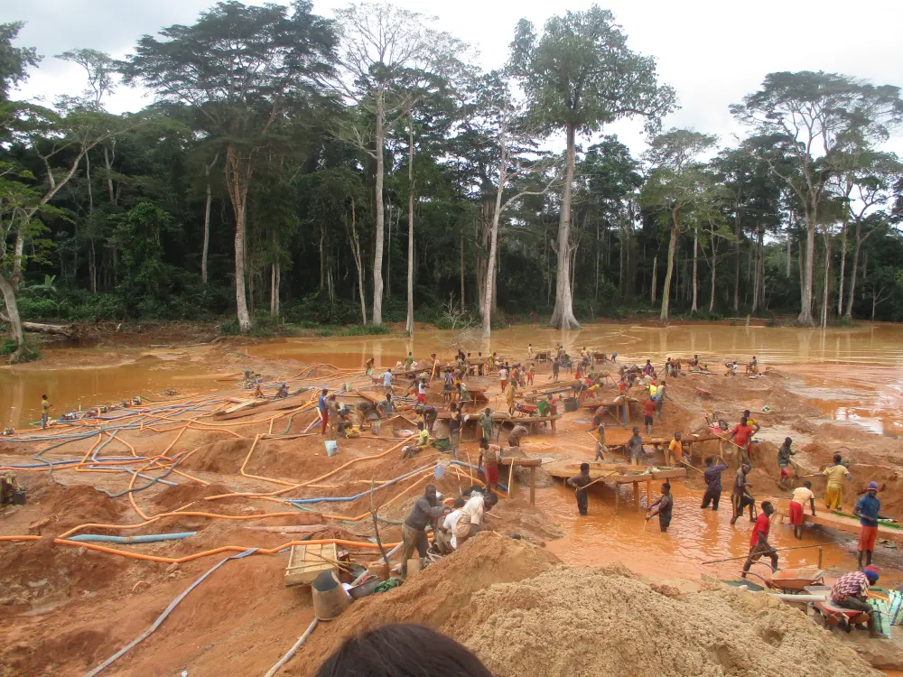 Chantier d'orpaillage en bordure de forêt