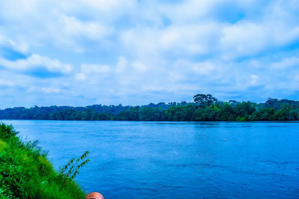 Fleuve bordé de forêt