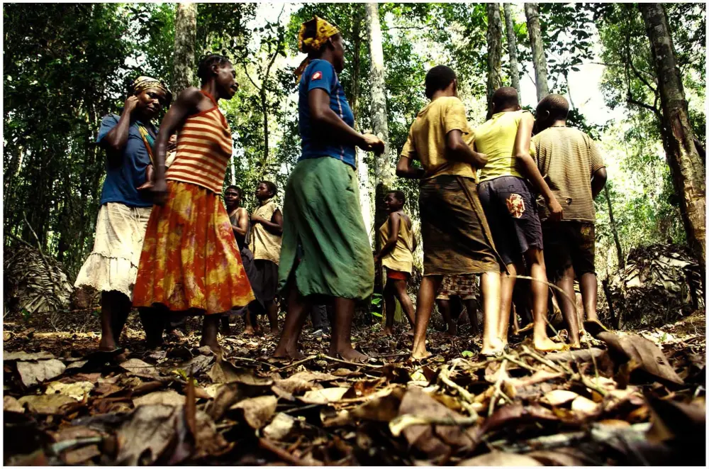 Danse en forêt