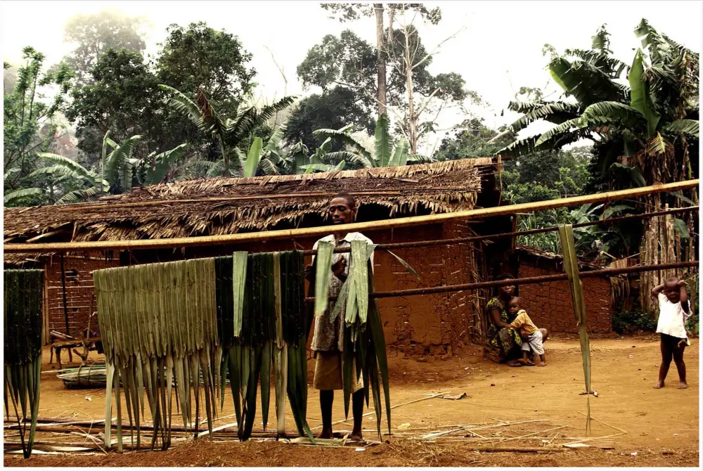 Campement et toits de raphia