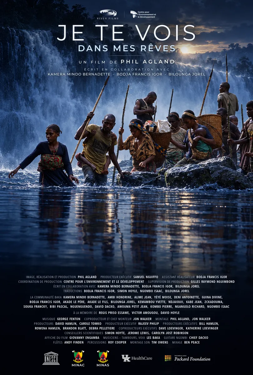 Affiche officielle du film « Je te vois dans mes rêves »