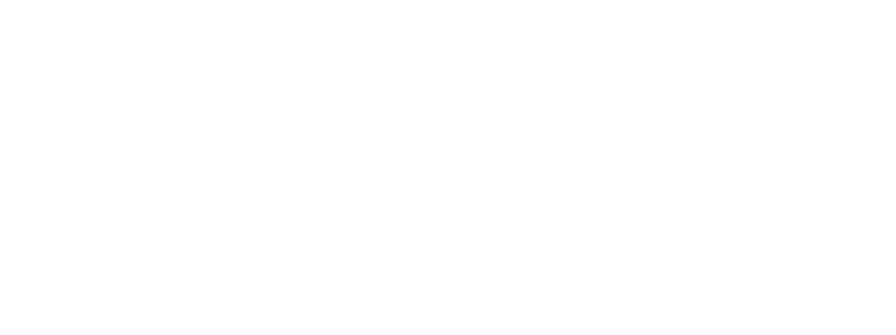 Logo blanc